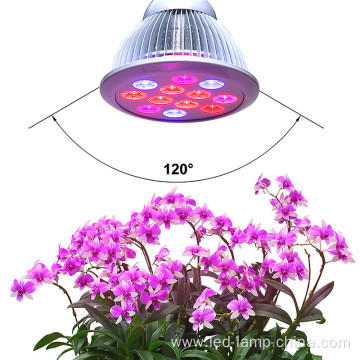 Helper Of Family Plant Light And greenhouse 12w Par LED grow light